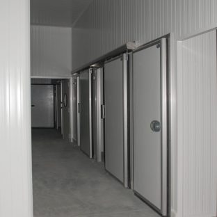 Puertas cámara frigorífica